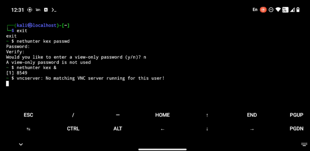 A terminal interface with commands related to setting up a VNC server in Kali